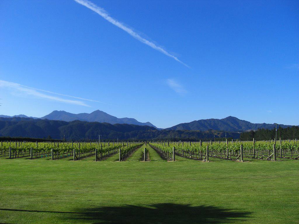 Straw Lodge Vineyard And Boutique Lodging Renwick Buitenkant foto